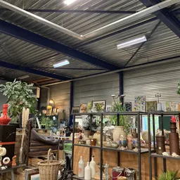 Overzicht van de winkelruimte met stellingen vol decoratieartikelen, plantenpotten en vintage spullen onder industriële verli