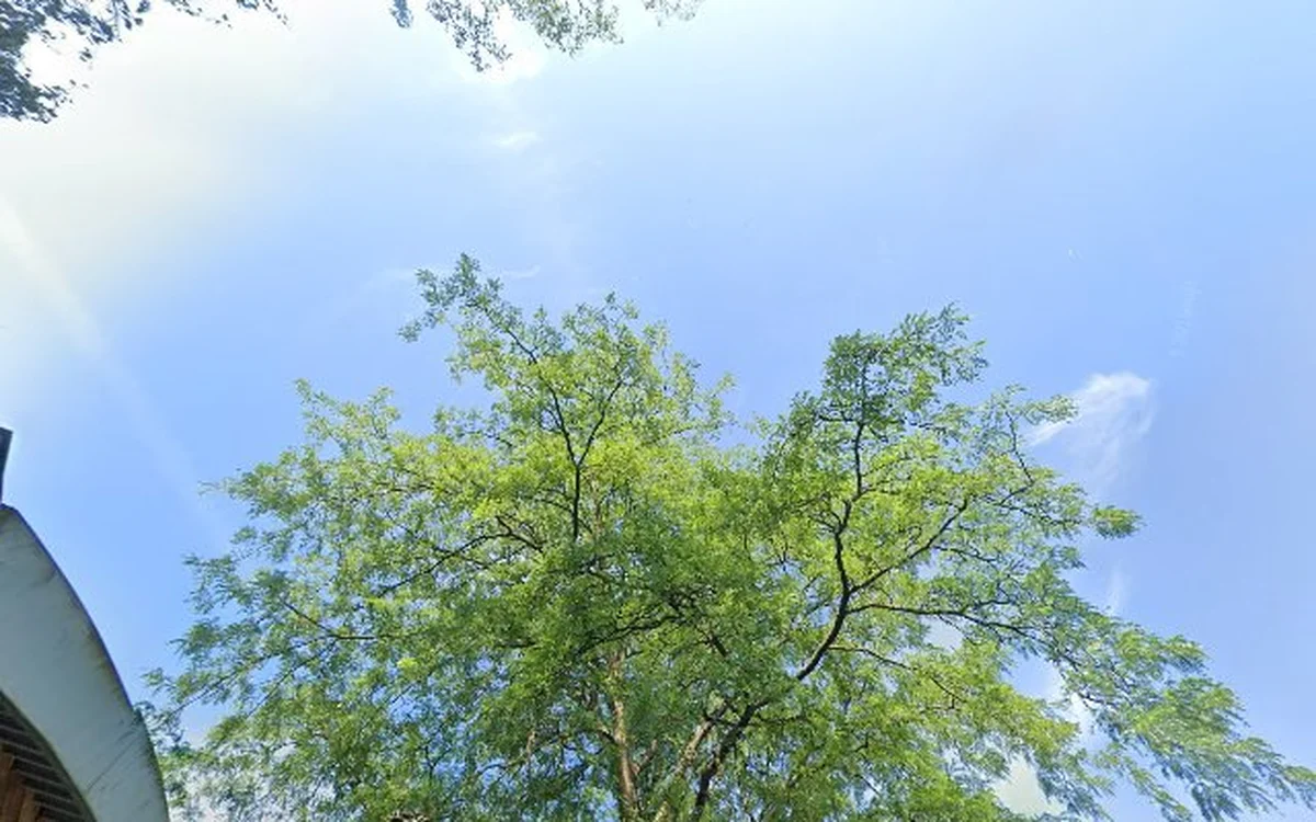 Kringloopwinkel Kringloopwinkel Krijg de kleertjes Oosterbeek in Oosterbeek