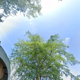 Kringloopwinkel Kringloopwinkel Krijg de kleertjes Oosterbeek in Oosterbeek