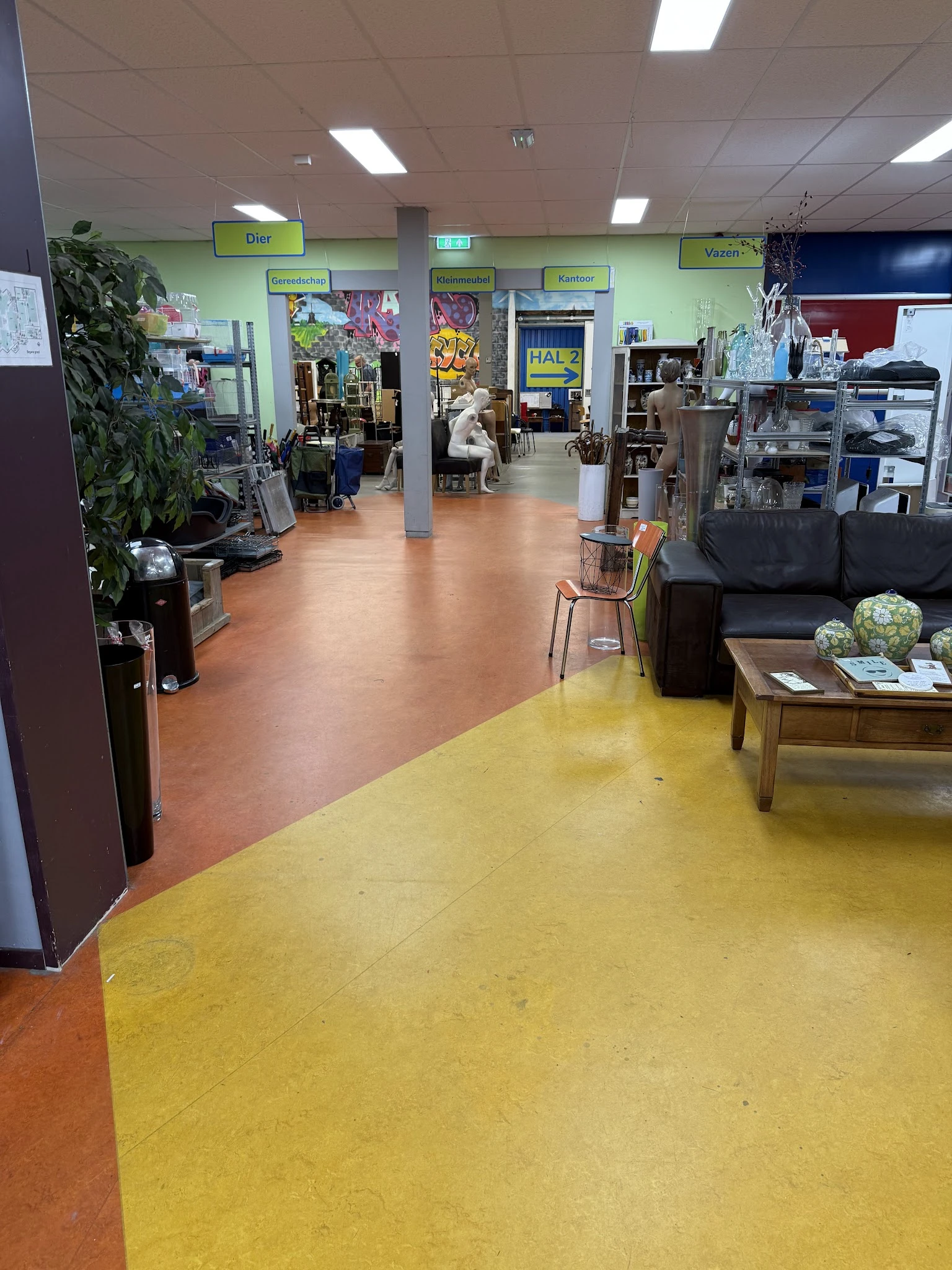 Winkelvloer van kringloopwinkel met geel en rood linoleum, stellingen, planten en decoratie