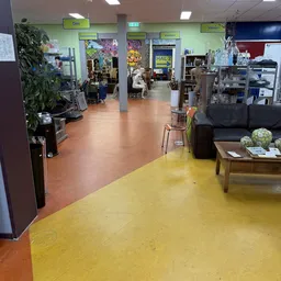 Winkelvloer van kringloopwinkel met geel en rood linoleum, stellingen, planten en decoratie
