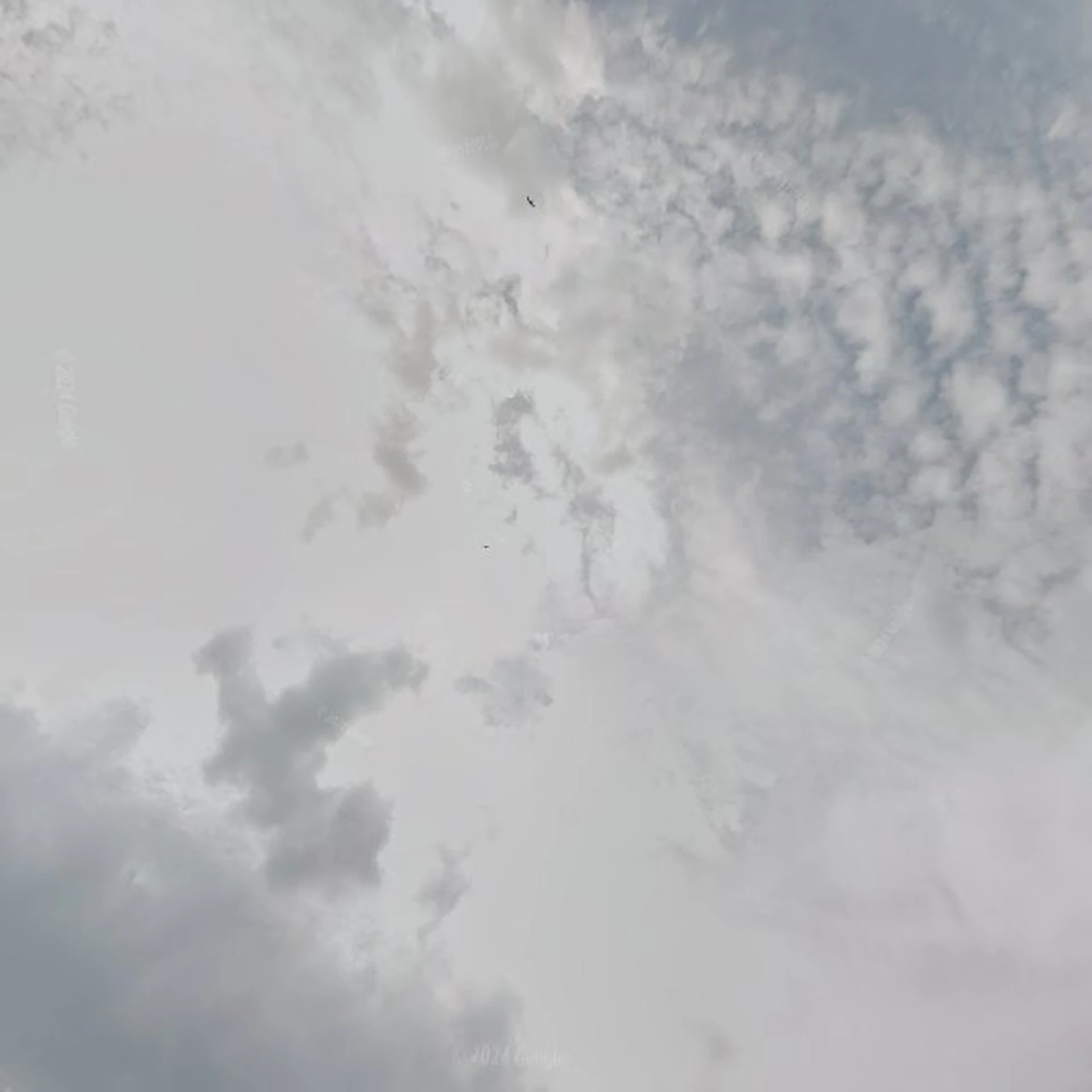 Kringloopwinkel Kringloopwinkel Kringkoop in Mijdrecht