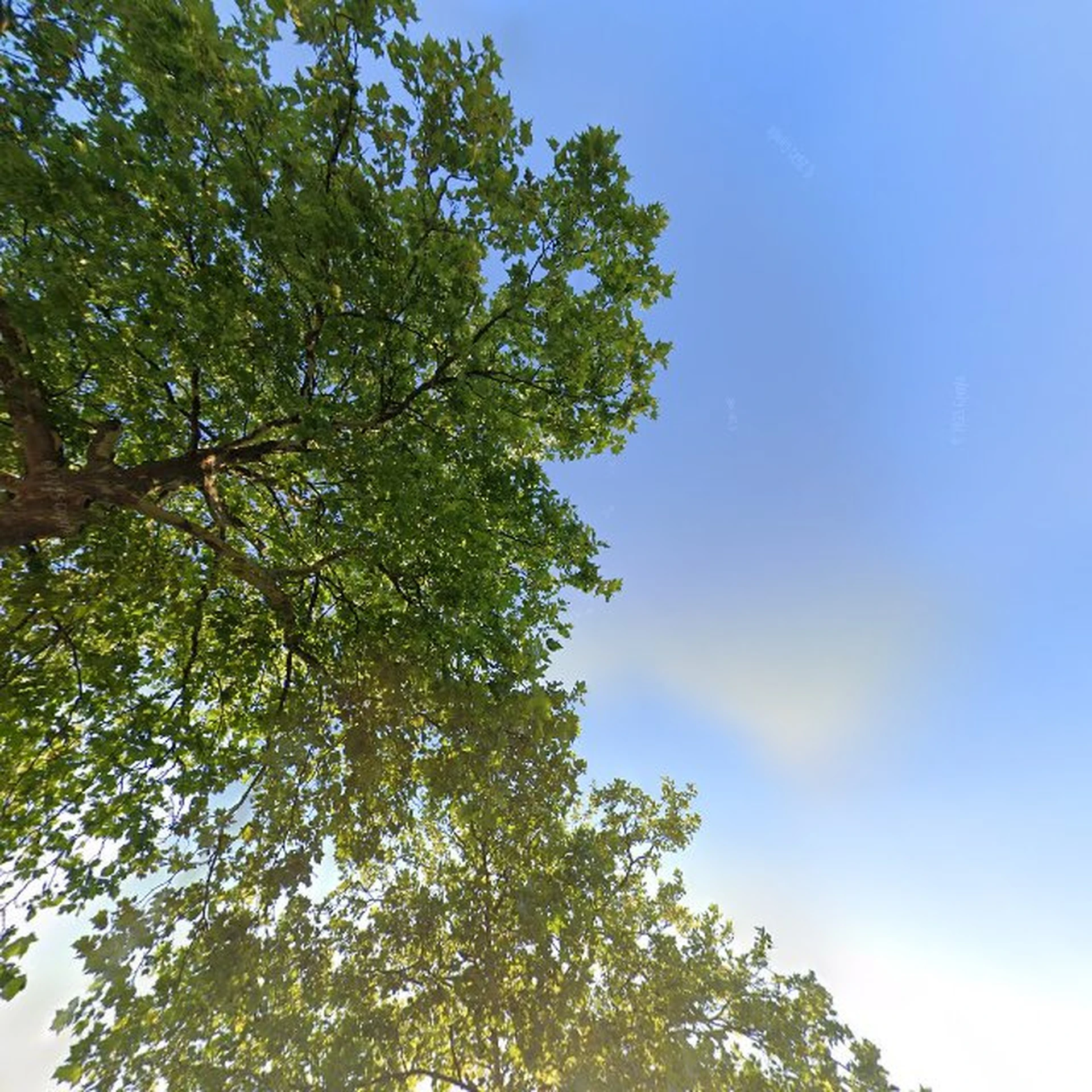 Kringloopwinkel Kringloop 4all in Nijverdal