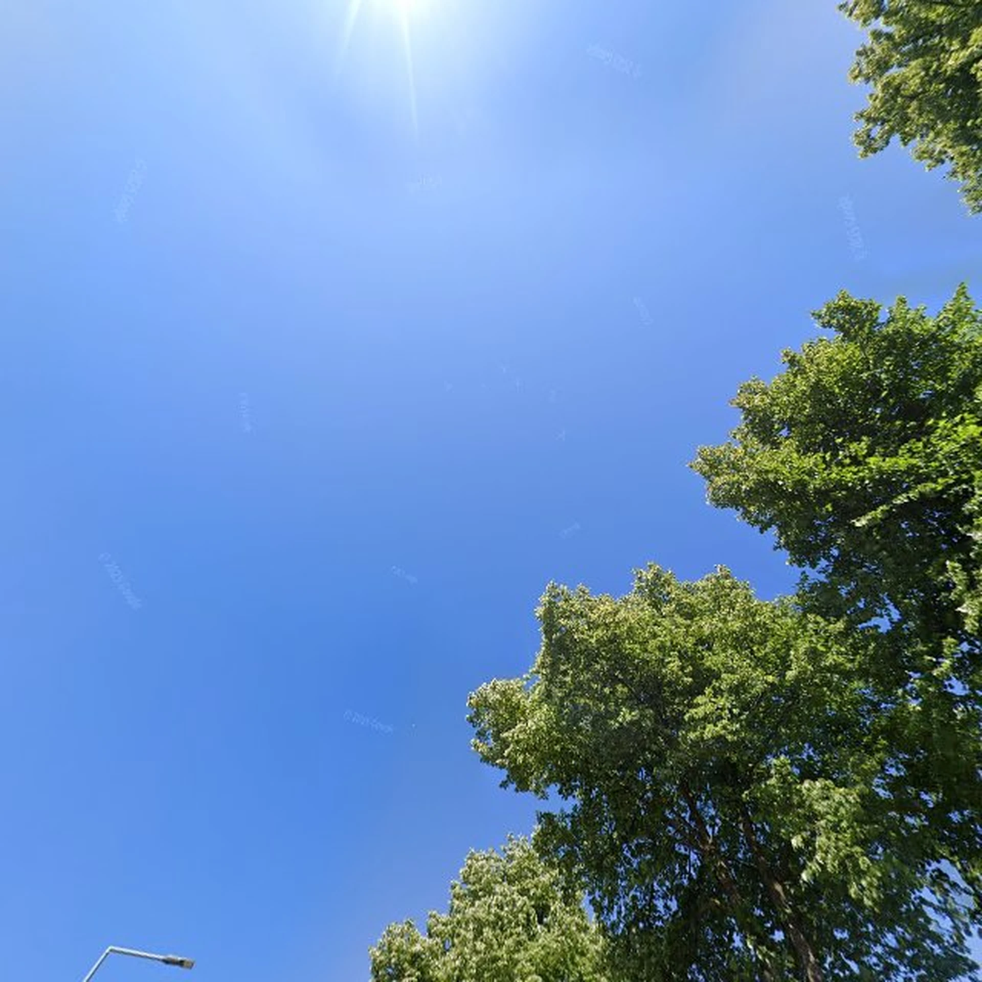 Kringloopwinkel Kringloop Balkbrug in Balkbrug