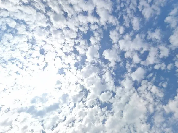 Kringloopwinkel Kringloop bij Robert in Appelscha