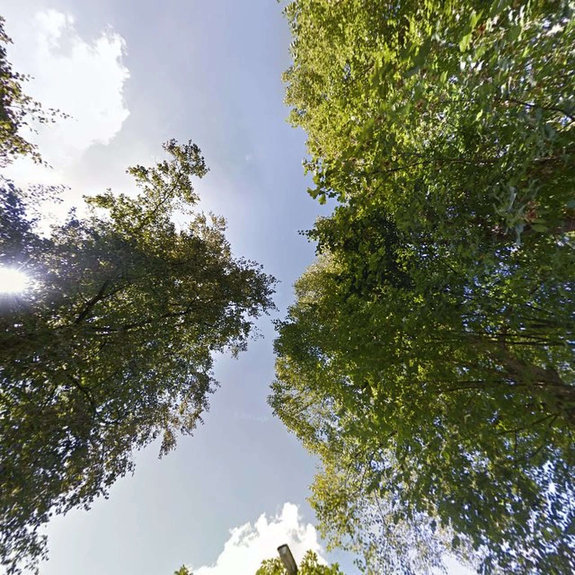 Kringloopwinkel Kringloop Breukelen in Breukelen