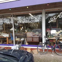 Winkelgevel met vitrines vol meubels, servies en decoratie, fiets vooraan, paarse luifel