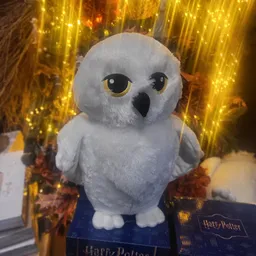 Bezoeker foto van Kringloop Centrum Bollenstreek in Lisse