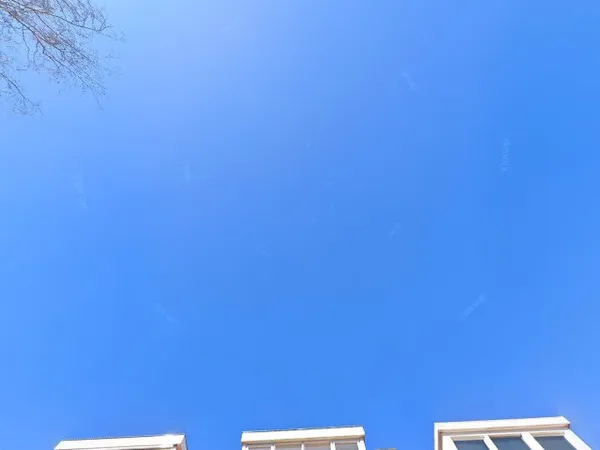 Kringloopwinkel Kringloop Curiosa in Haarlem