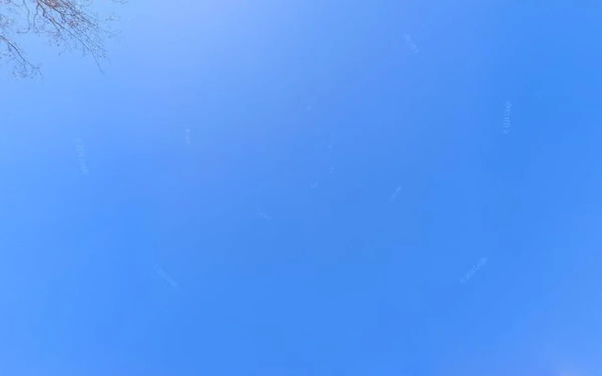 Kringloopwinkel Kringloop Curiosa in Haarlem