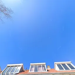 Kringloopwinkel Kringloop Curiosa in Haarlem