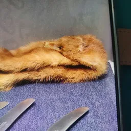 Bezoeker foto van Kringloop De Brug in Katwijk aan Zee