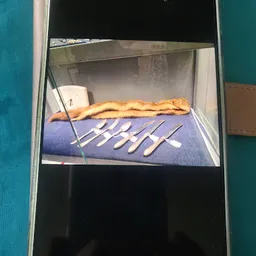 Bezoeker foto van Kringloop De Brug in Katwijk aan Zee