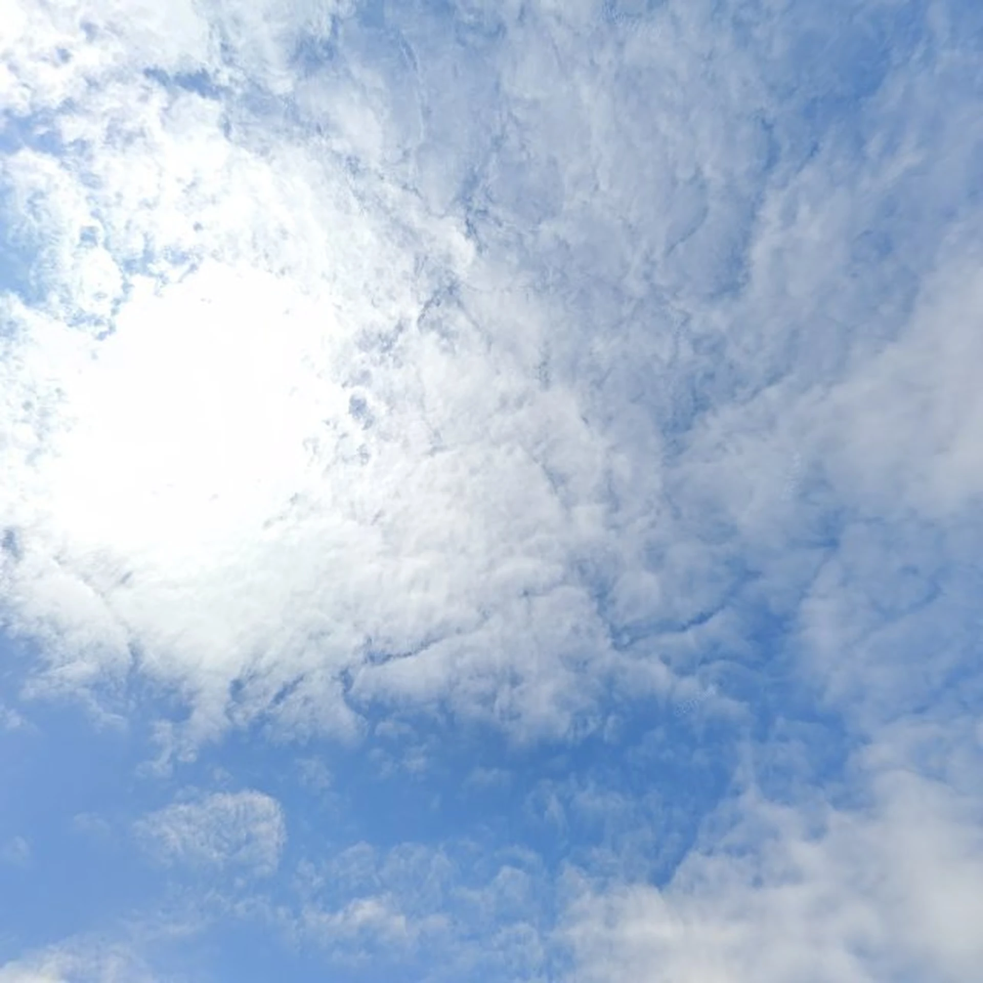 Kringloopwinkel Kringloop De Cirkel in Hardinxveld-Giessendam