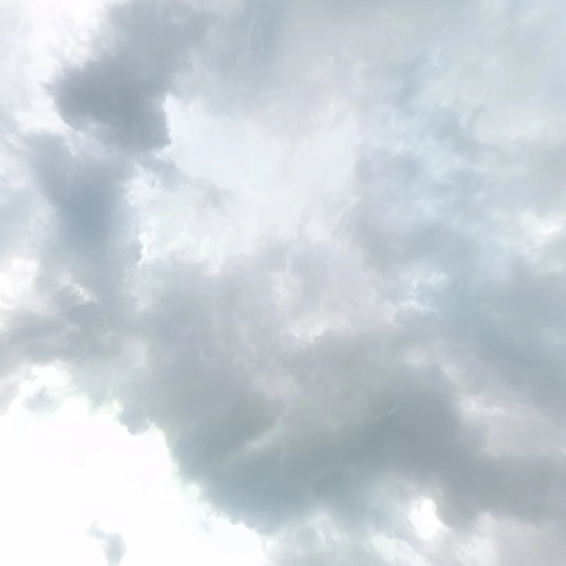 Kringloopwinkel Kringloop de florijn in Boekel