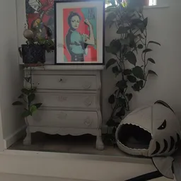 Witte commode met drie laden, plantjes erop en ernaast, met posters en kunstwerkjes aan de muur