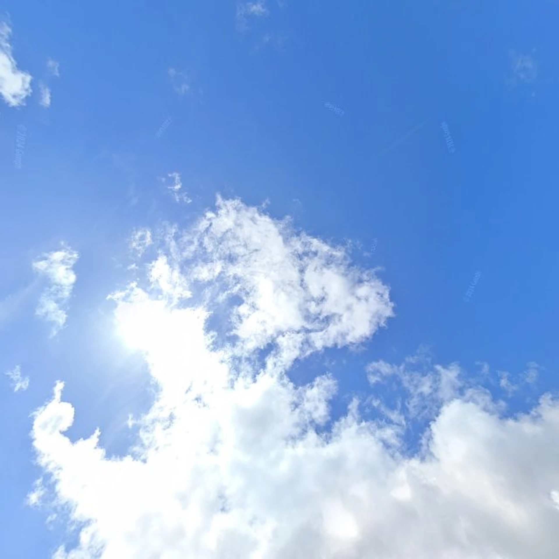 Kringloopwinkel Kringloop De Inbreng, Grote Kerk in Harlingen