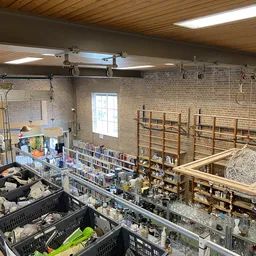 Interieur van kringloopwinkel met boekenrekken, stellingen met spullen en overhead-apparatuur