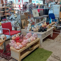 Winkelvloer met uitgestalde spullen: knuffels, meubels, kleding en huishoudartikelen in verschillende secties