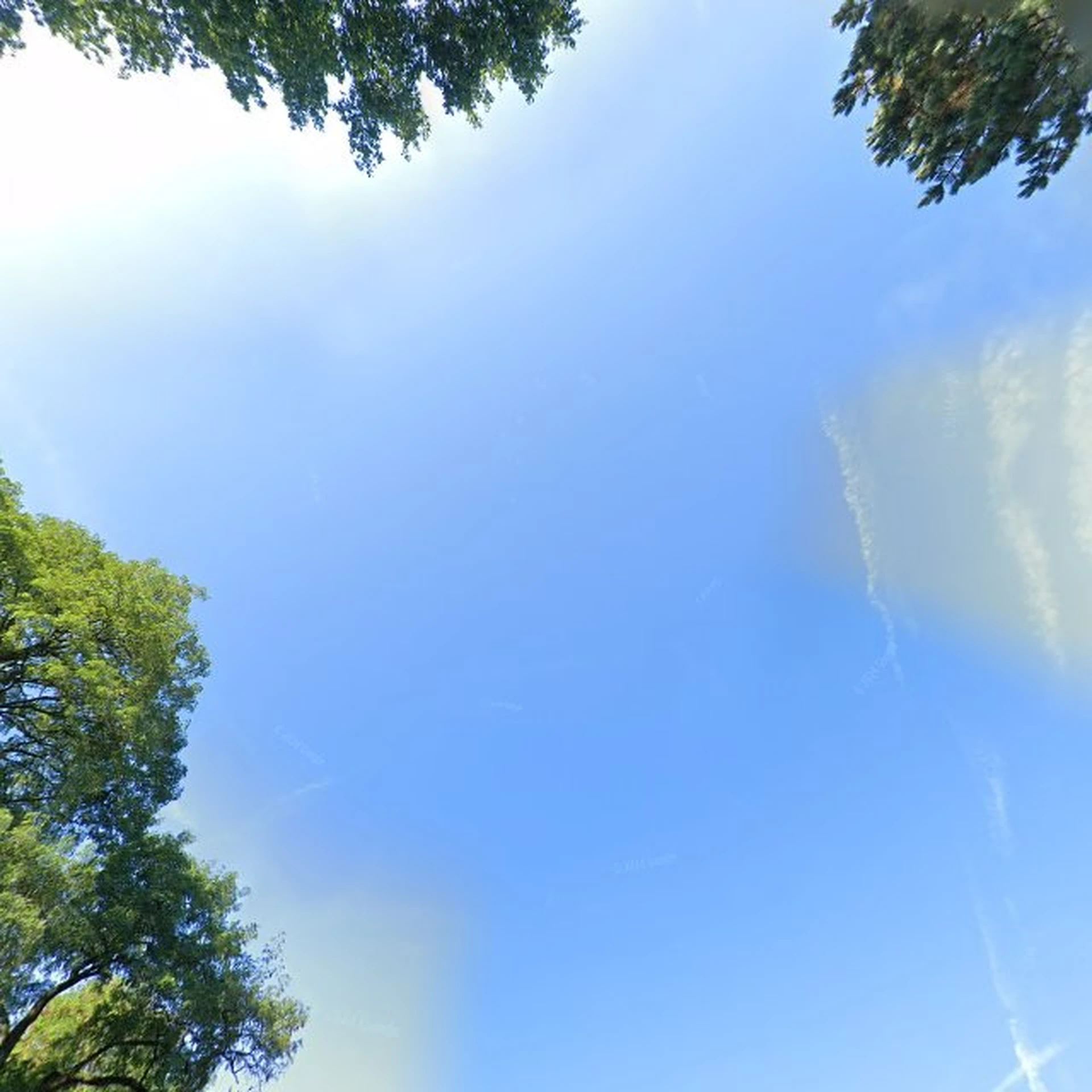 Kringloopwinkel Kringloop De Markt Zeist in Zeist