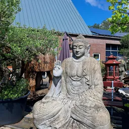 Stenen Boeddhabeeld in lotushouding in de tuin, omgeven door groen en een olijfboom