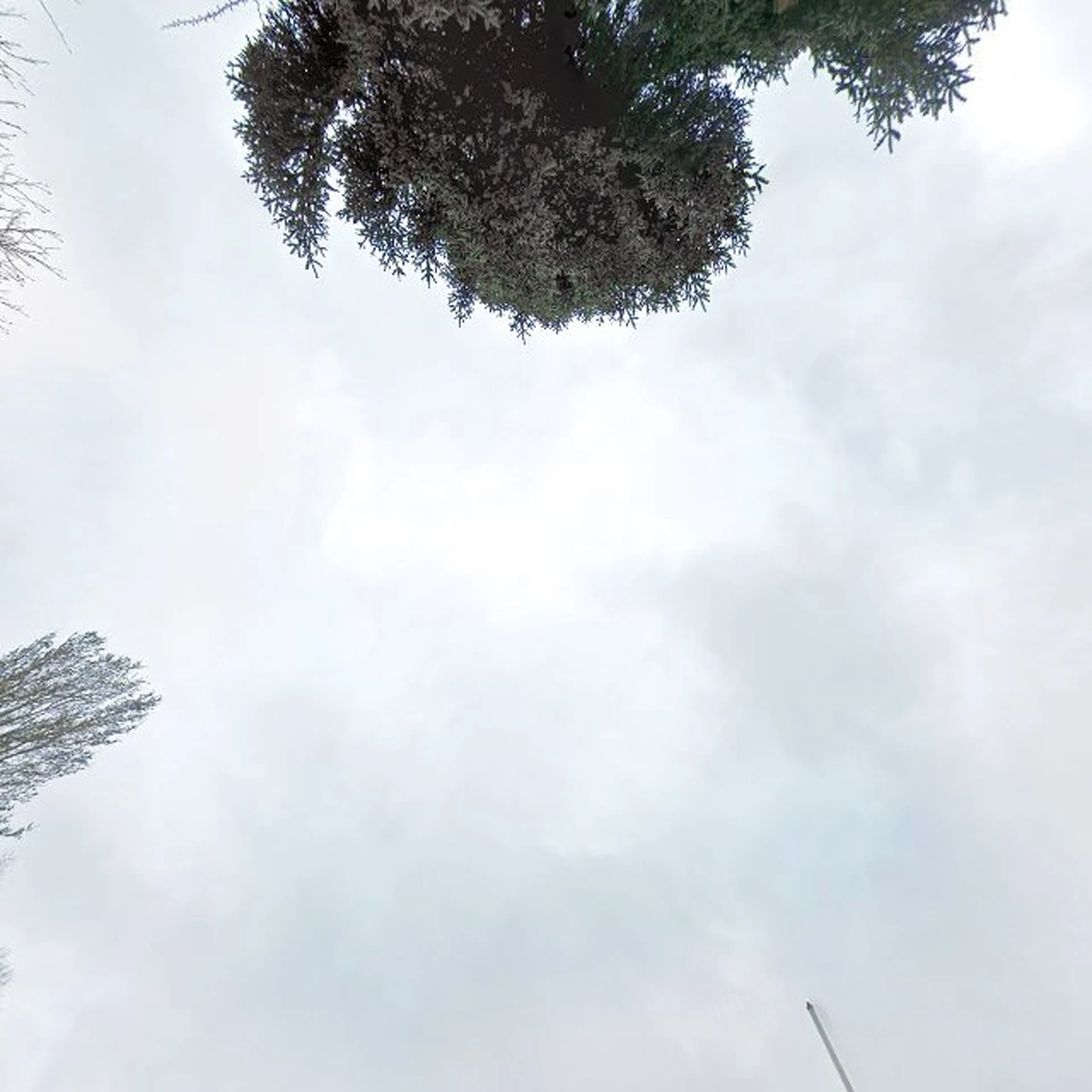 Kringloopwinkel Kringloop de oude school wijchen in Wijchen