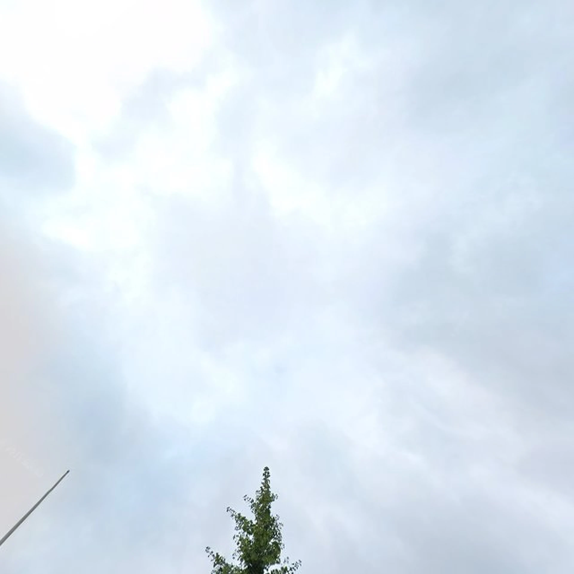 Kringloopwinkel Kringloop De oude veemarkt in Almelo