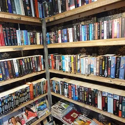 Houten stellingen met honderden dvd's en blu-rays netjes op rij gerangschikt