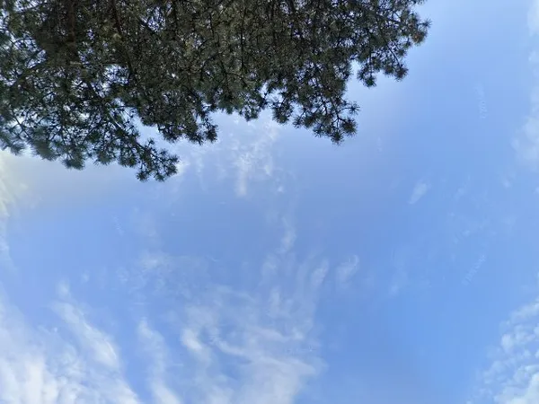 Kringloopwinkel Kringloop De Schatkamer in Kamperland