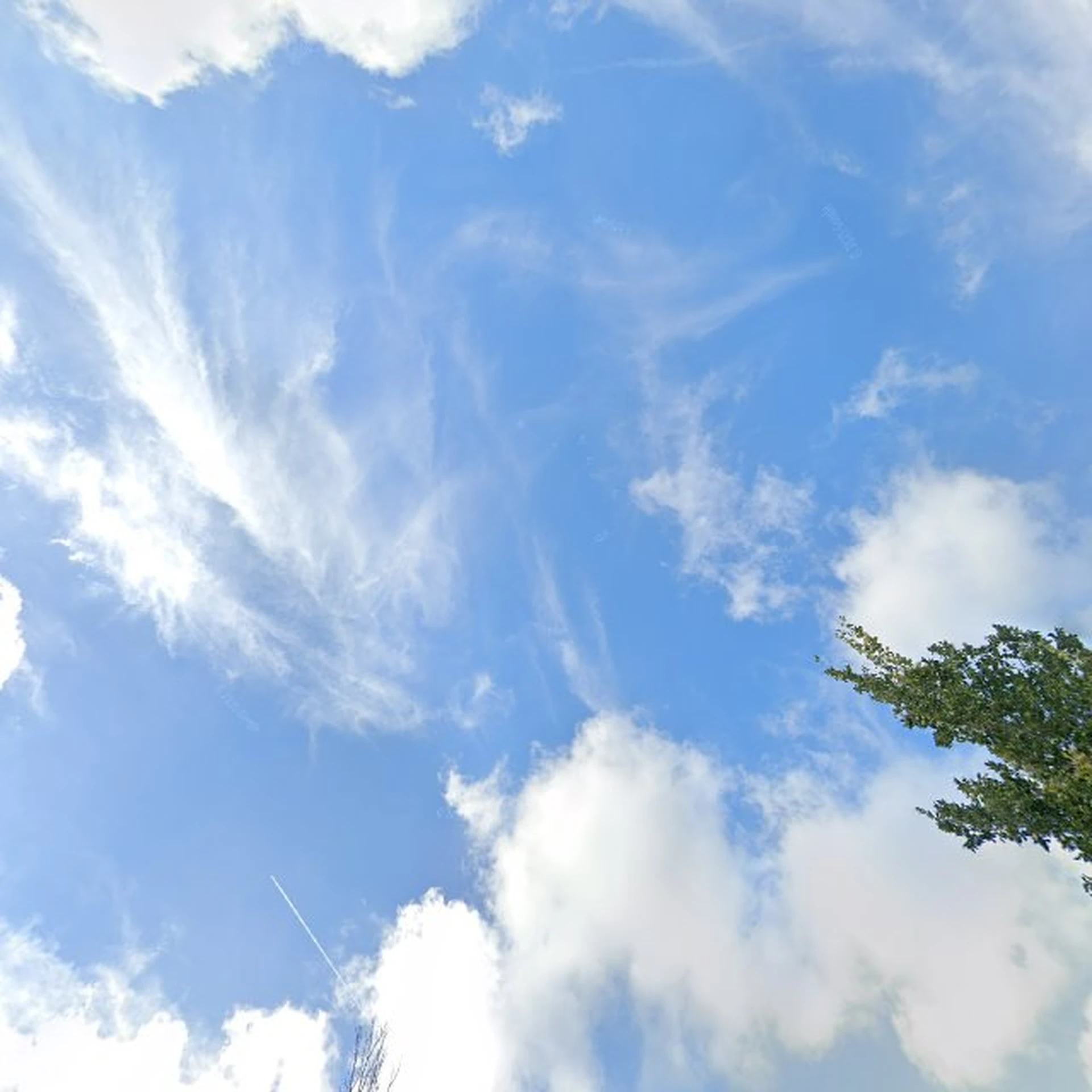 Kringloopwinkel Kringloop de Schatkamer in Leidschendam