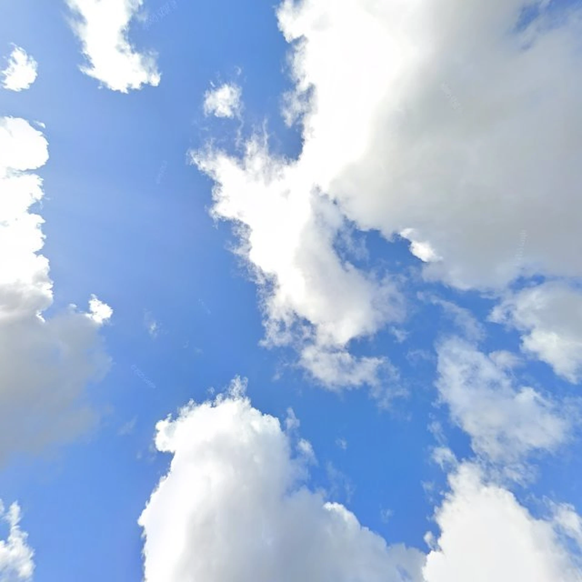 Kringloopwinkel Kringloop de Snuffel in Zoeterwoude