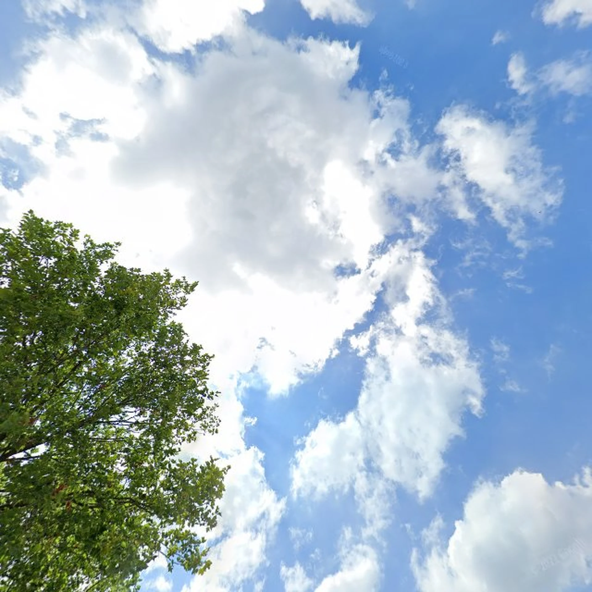 Kringloopwinkel Kringloop De Vince in Breda