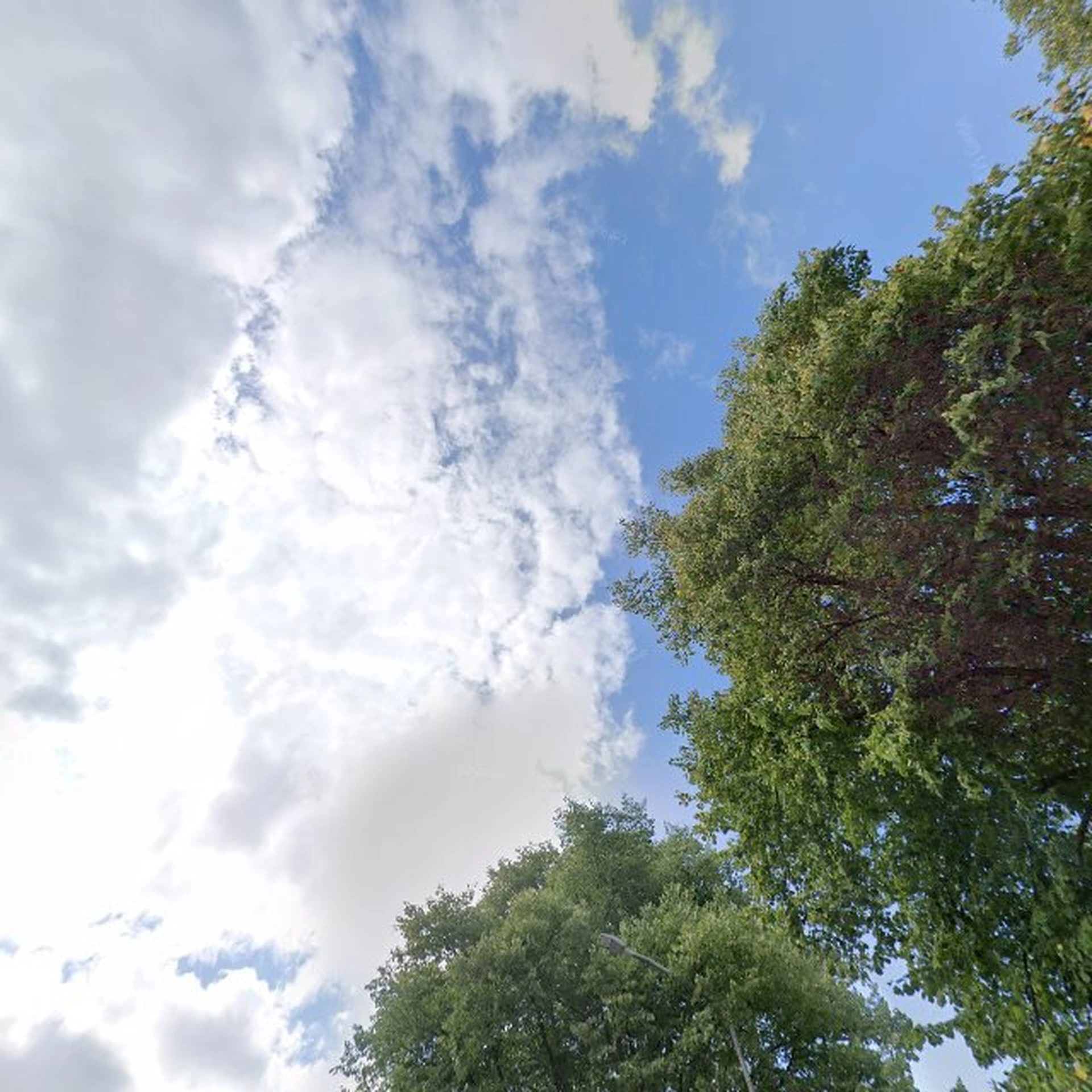 Kringloopwinkel Kringloop De Vlinder in Sibculo