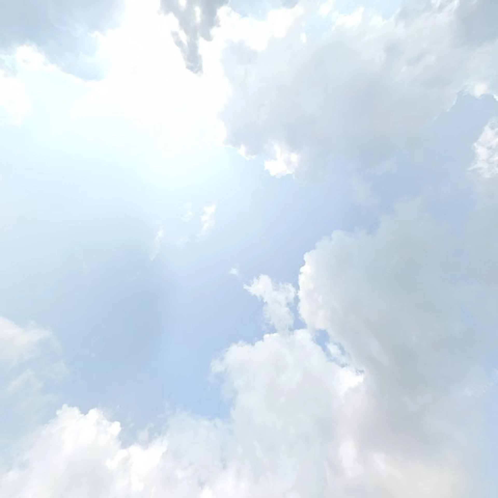 Kringloopwinkel Kringloop de Waterlelie in Loenen