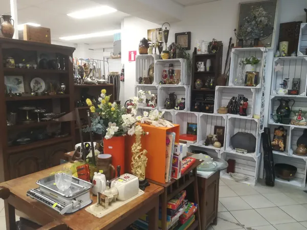 Winkelvloer met houten tafel, bloemen in oranje vazen, boeken en diverse decoratieve artikelen, stellingen met verzamelobject
