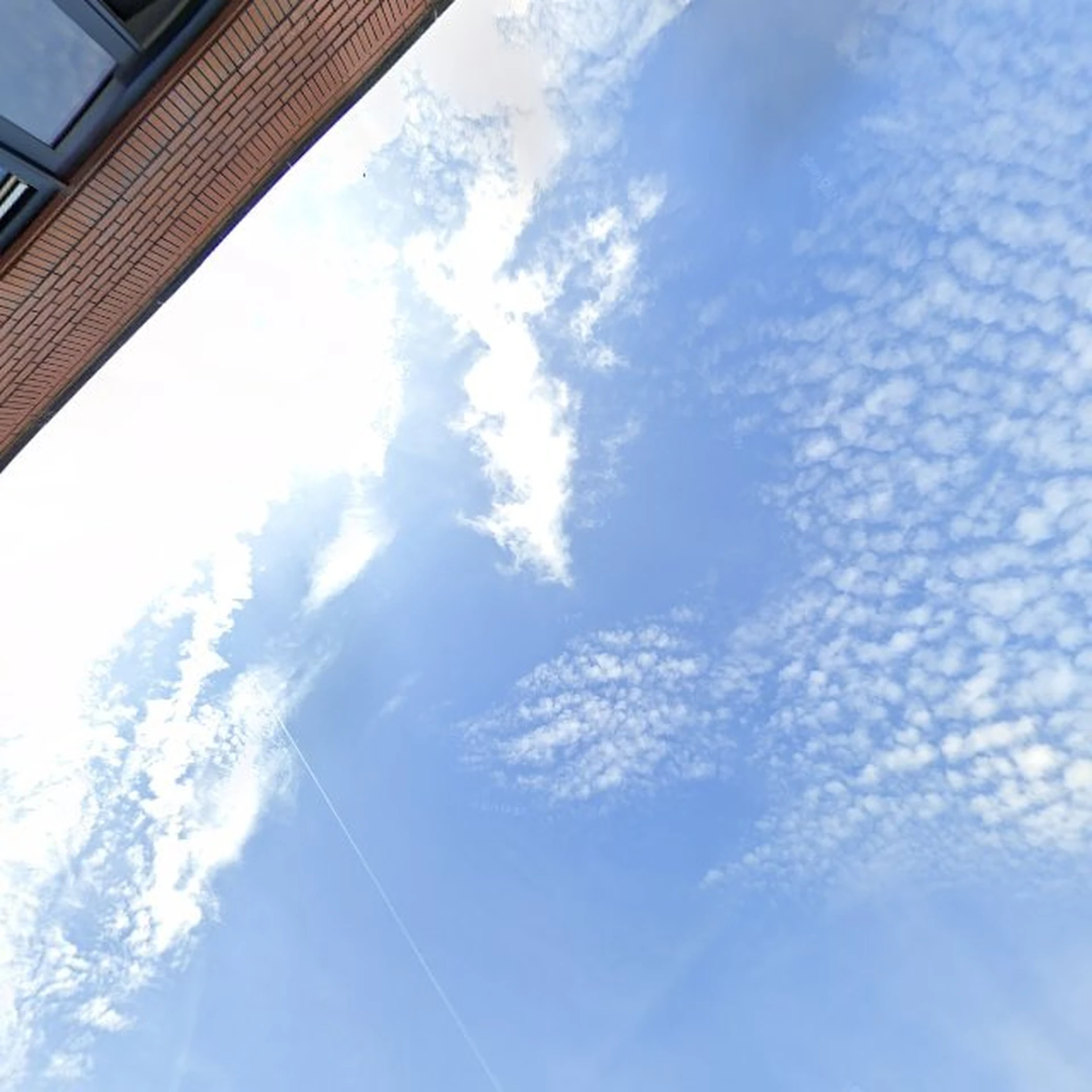 Kringloopwinkel Kringloop Driebergen in Driebergen-Rijsenburg