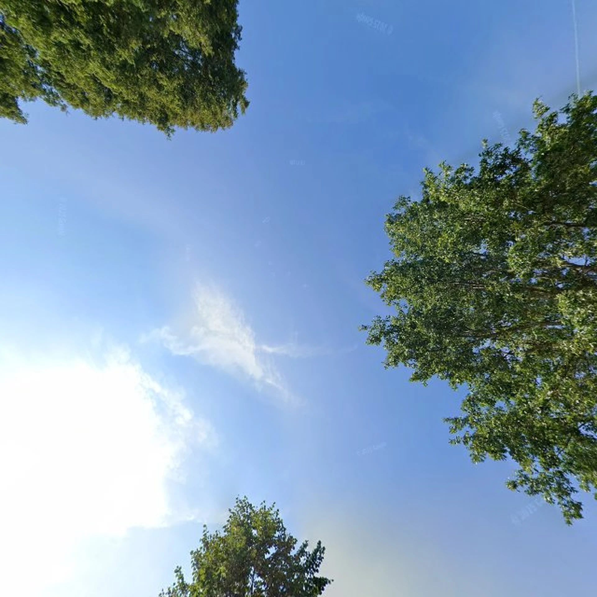 Kringloopwinkel Kringloop Drost in Veenendaal