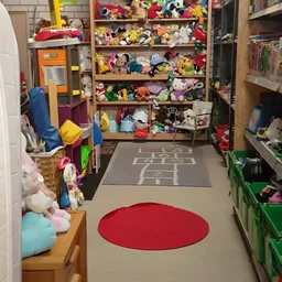 Speelgoedafdeling met stellingen vol knuffels, speelgoed en actiefiguren, rode vloermat en grijs speelkleed in centrum