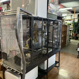 Grote zwarte vogelkooi met meerdere compartimenten op een verhoogde standaard in een winkelinterieur