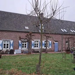 Bakstenen boerderij met blauwe luiken en witte ramen, voortuin met gras en kale boom