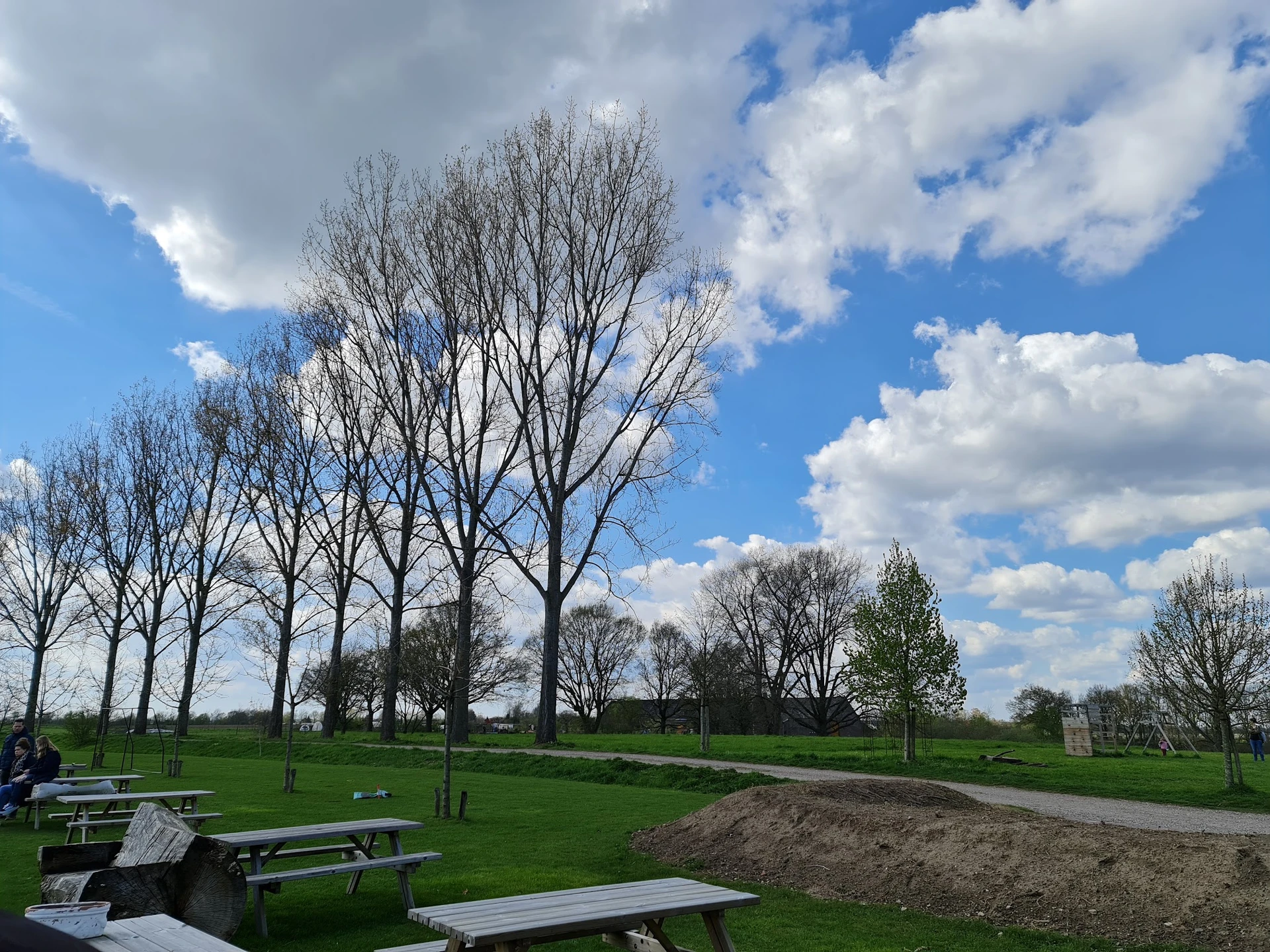 Picknickgebied met tafels onder loofbomen in een parklandschap