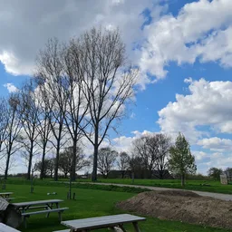 Picknickgebied met tafels onder loofbomen in een parklandschap