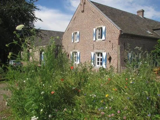 Voorgevel van een bakstenen woonhuis met blauwe raamkozijnen en groene klimop, vooruin vol bloemen