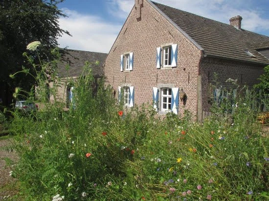 Voorgevel van een bakstenen woonhuis met blauwe raamkozijnen en groene klimop, vooruin vol bloemen