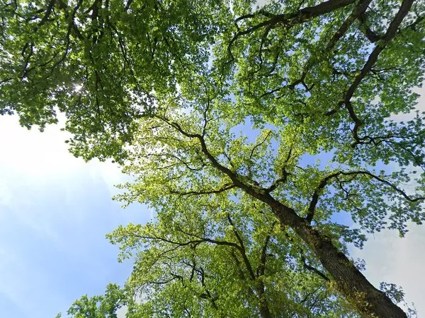 Kringloopwinkel Kringloop en Brocante in Hierden