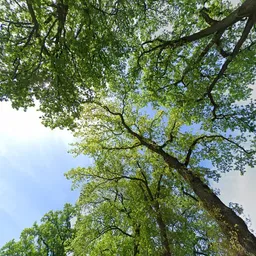 Kringloopwinkel Kringloop en Brocante in Hierden