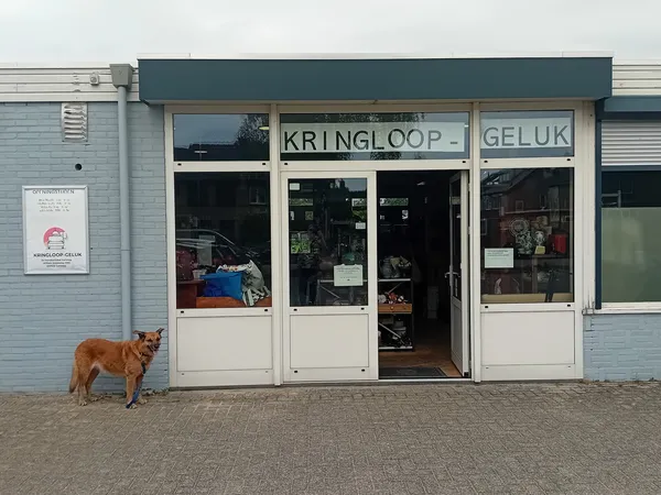 Voorgevel van kringloopwinkel met blauwe bakstenen muur, witte deuren en ramen, naam KRINGLOOP GELUK zichtbaar, bruine hond e