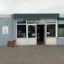 Voorgevel van kringloopwinkel met blauwe bakstenen muur, witte deuren en ramen, naam KRINGLOOP GELUK zichtbaar, bruine hond e