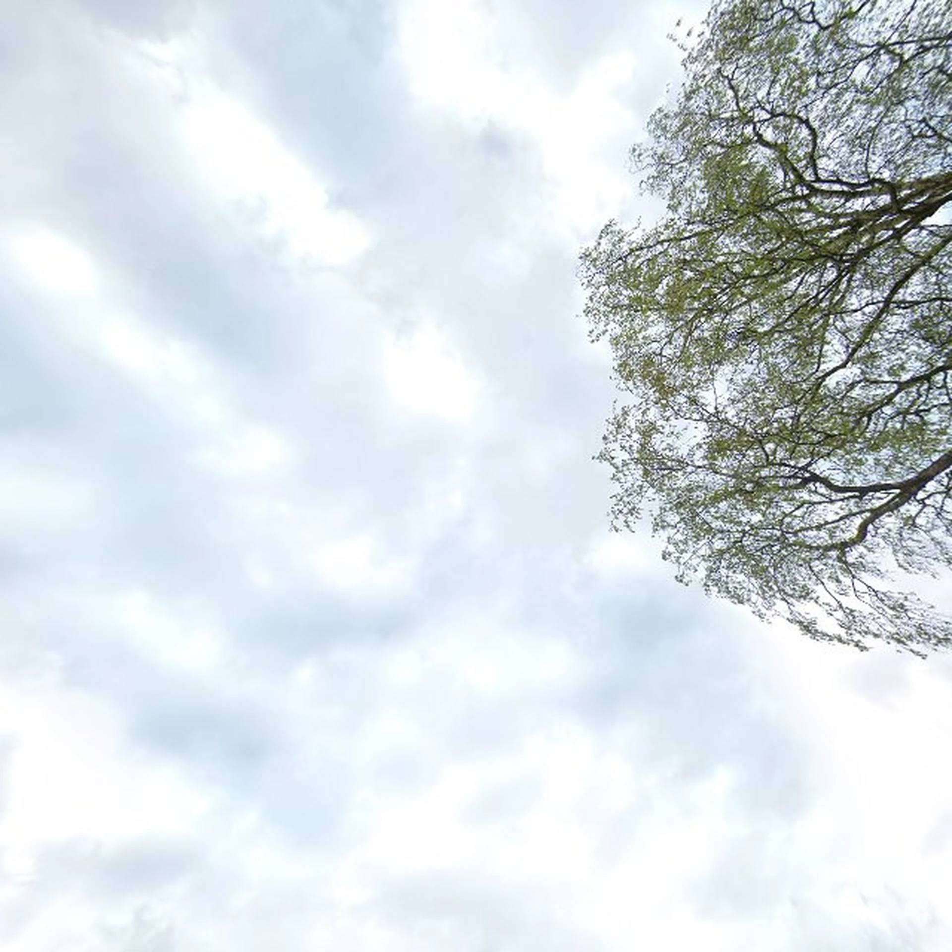 Kringloopwinkel Kringloop geluk Gennep in Gennep