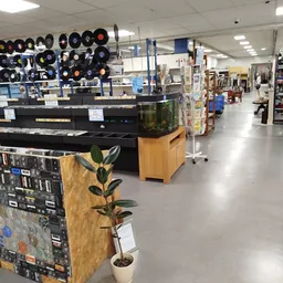 Winkelvloer van kringloopcentrum met piano, aquarium, vinyl records, plantenstandaard en diverse kringloopwaar